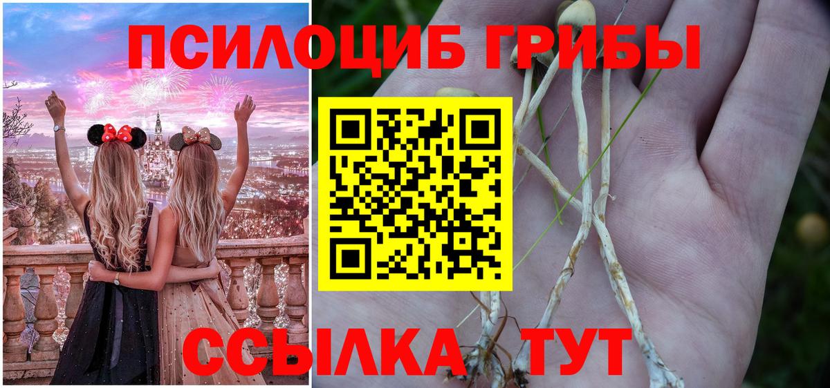 Псилоцибиновые грибы MAGIC MUSHROOMS Кандалакша